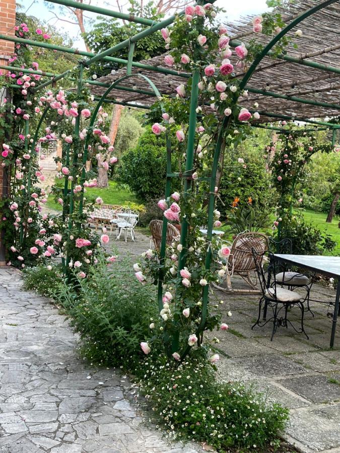 Hotel Dimora Rosa Bianca Macerata Zewnętrze zdjęcie